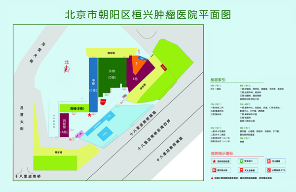 被大鸡把操逼北京市朝阳区桓兴肿瘤医院平面图